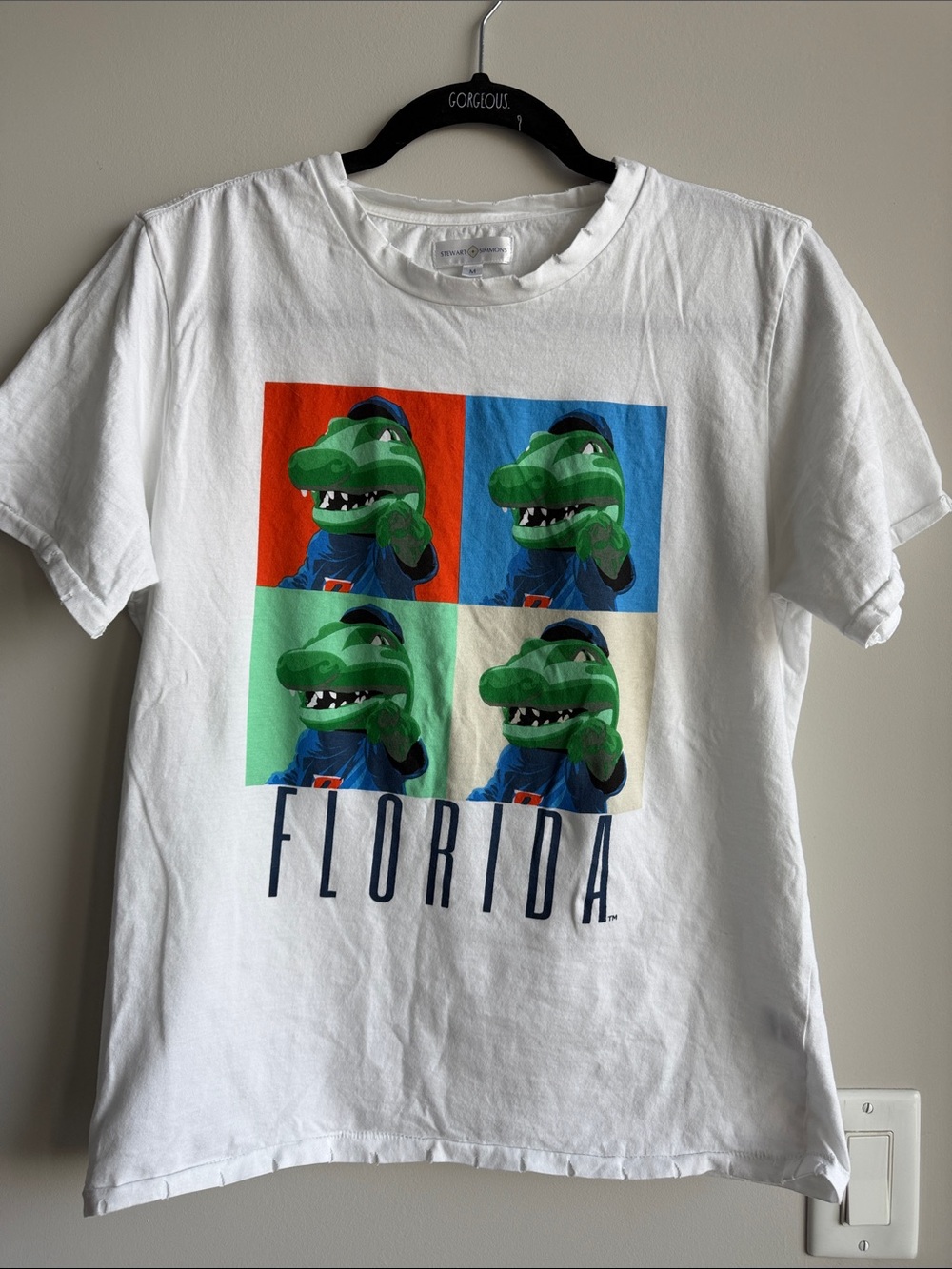 Florida Gators Graphic Short Sleeve Tee - White